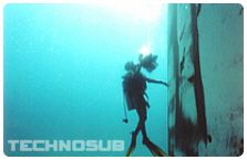 Technosub